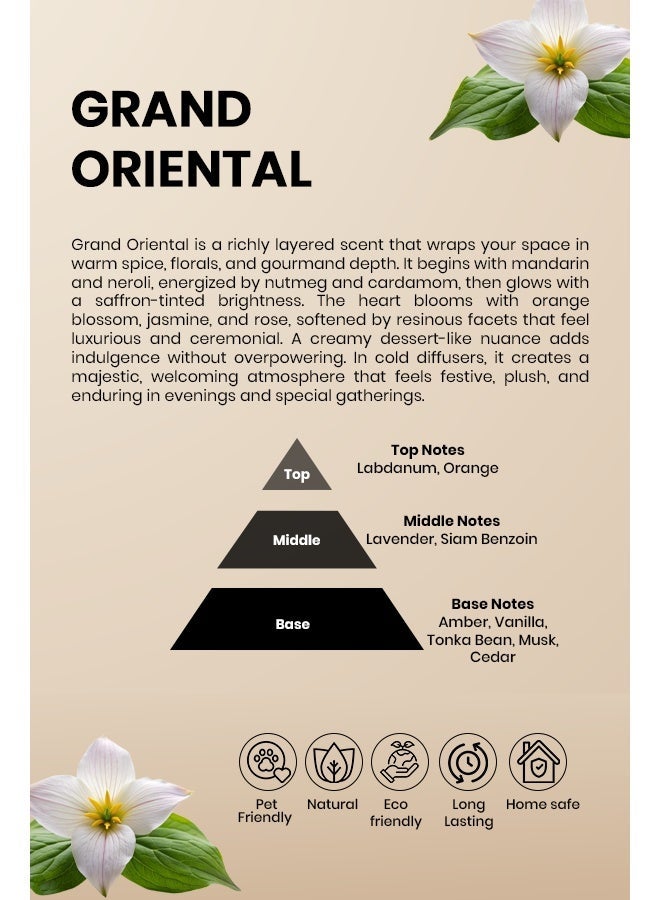 Scentscircle Grand Oriental Luxury Fragrance Diffuser Oil 250ml with Labdanum & Orange | Amber, Vanilla, Tonka Bean, Musk & Cedar Oriental Aroma for Shops, Home & Office | Scentscircle - Image 2